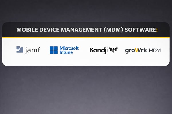 Mobile device management (MDM) software